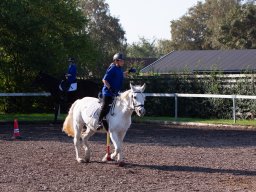 IMG_7198_web
